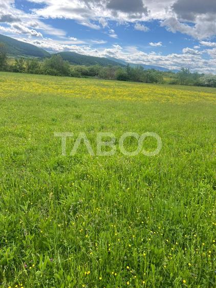 Teren agricol extravilan de 3600 mp, în Poplaca