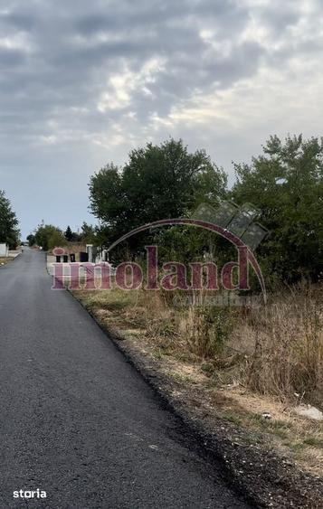 Teren de 5000 mp, în Snagov