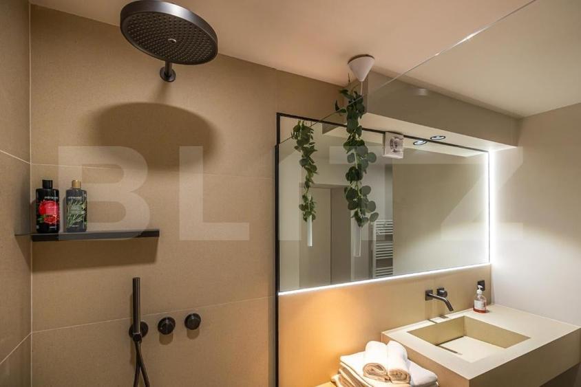Apartament 3 camere, lux, pet friendly, gradina, Ultracentral - 16