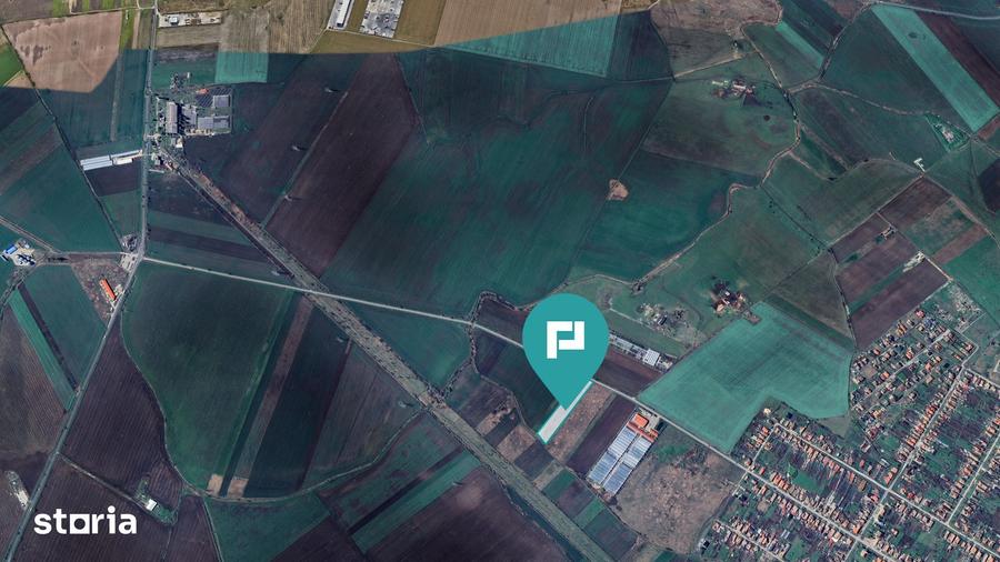 Teren arabil intravilan 10.333mp - Livada - 1
