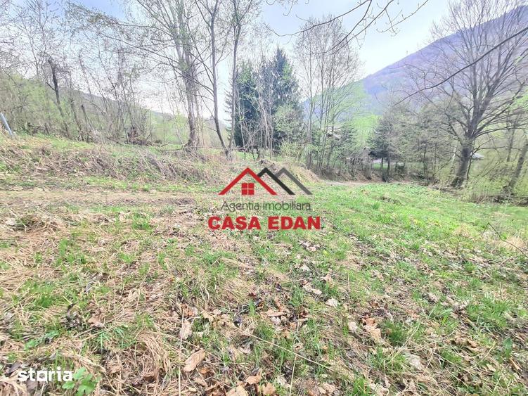 Teren de 1000 mp, în Valea Doftanei