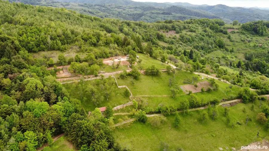 Teren de 2000 mp, în Brusturi