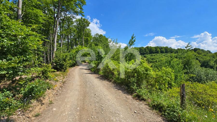 Teren agricol extravilan de 4000 mp, în Poiana Mărului