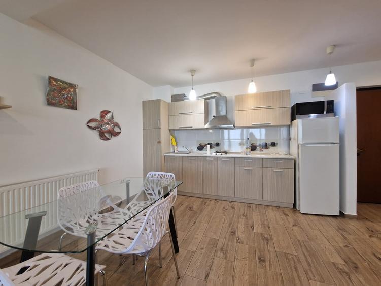Apartament vedere frontala la lac termen lung - 9