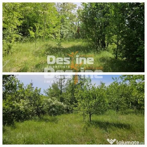 Teren în Tomești