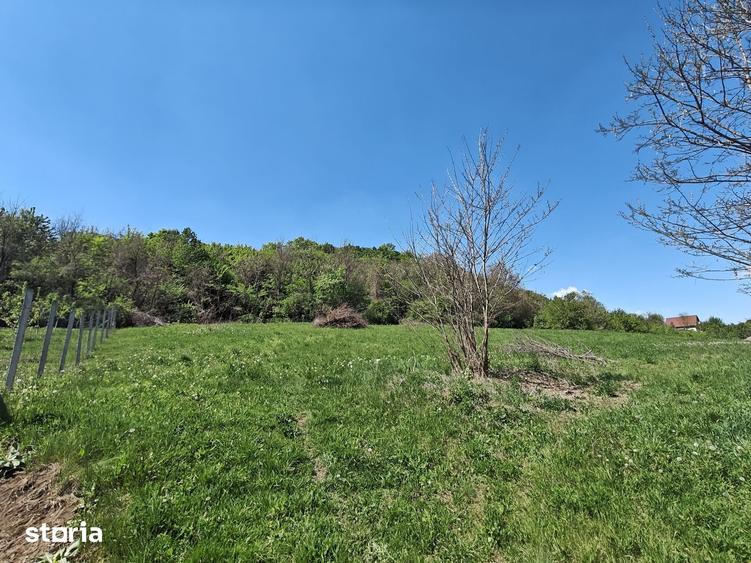 Teren de 1400 mp, în Sântana de Mureș