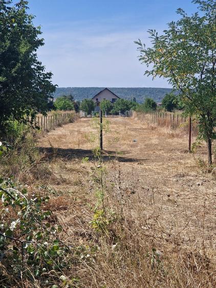 Teren de 1500 mp, în Boldești