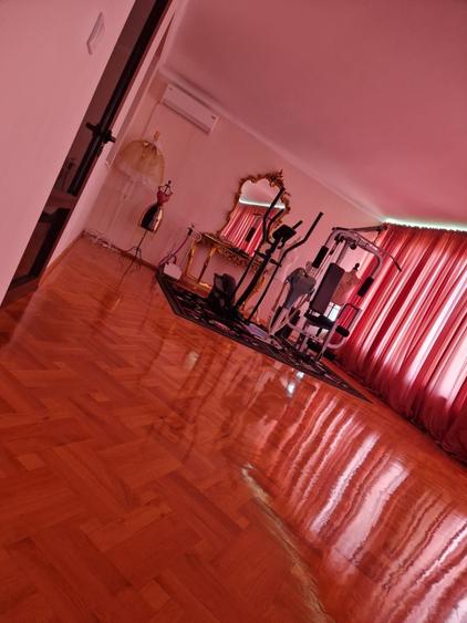 Casa remarcabila Cazasu, Braila - 14