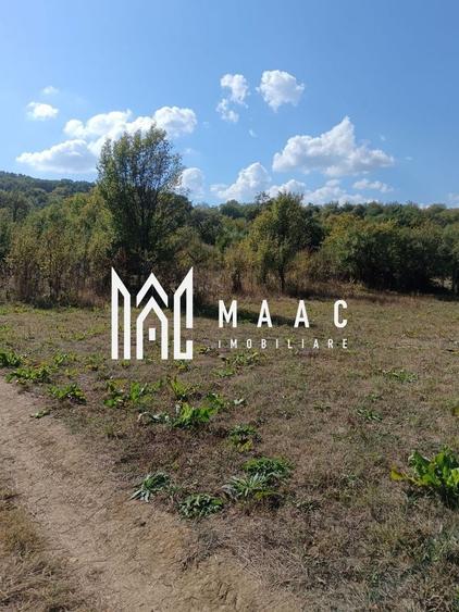 Teren agricol extravilan de 1000 mp, în Amnaș