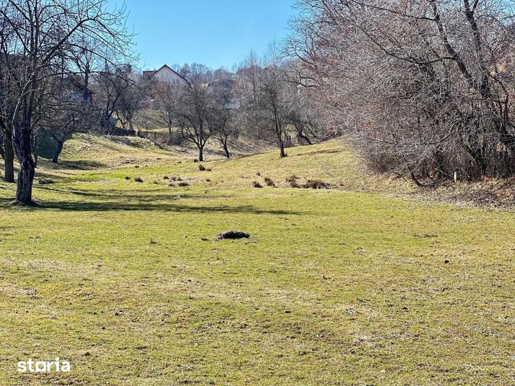 TEREN SOHODOL - UN LOC UNDE NATURA I?I DEVINE PARTENER DE INVESTI?IE - 1