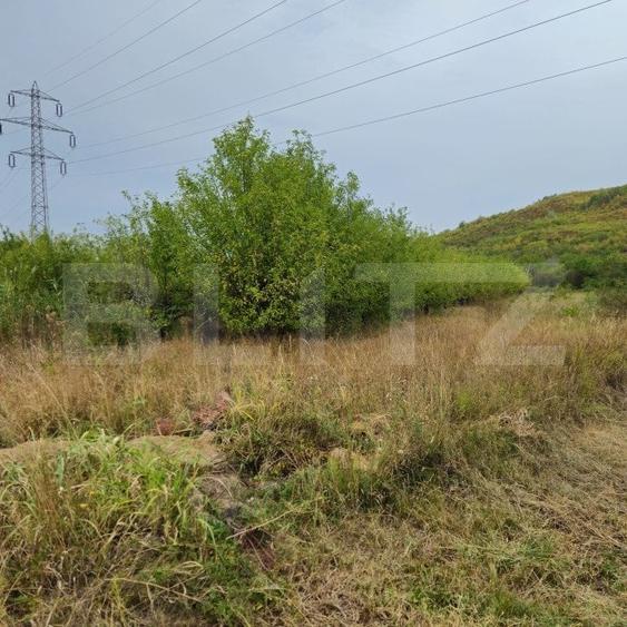 Teren Construcții intravilan de 17524 mp, în Viforâta