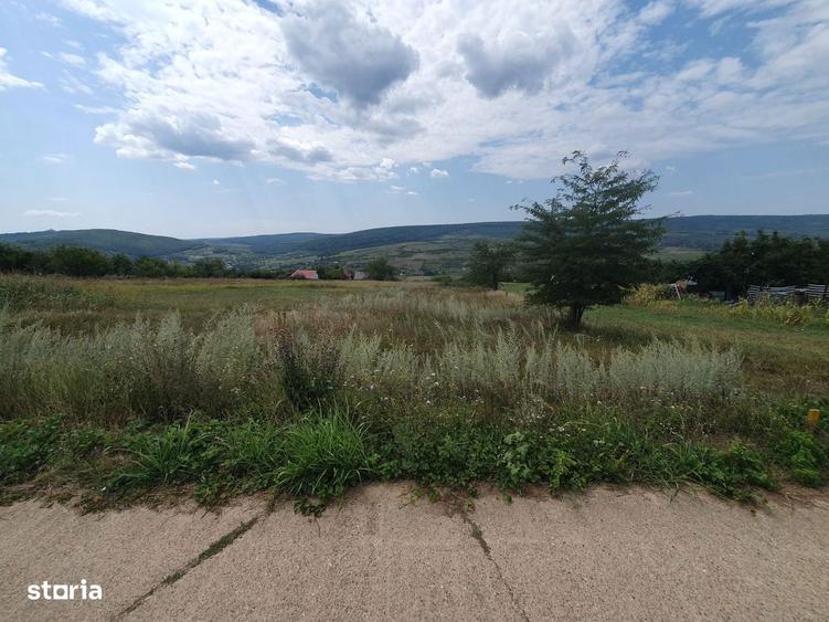 Teren Chicirea (Tomesti) 1.219 mp, 20 euro/mp ( 25.000 ) - 7
