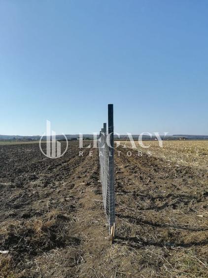 Teren agricol intravilan de 30101 mp, în Tudor Vladimirescu
