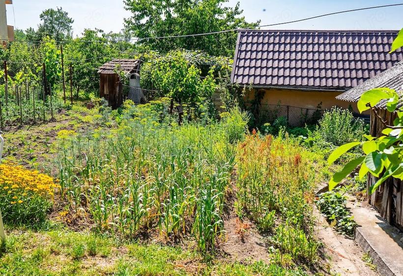 Casă cu Teren 17 Mp în Central