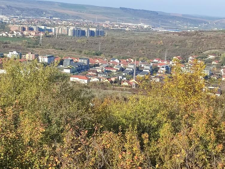 Spațiu comercial, în Borhanci