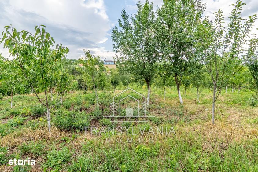Casă cu 4 camere cu Teren 2560 Mp în Sâmboleni