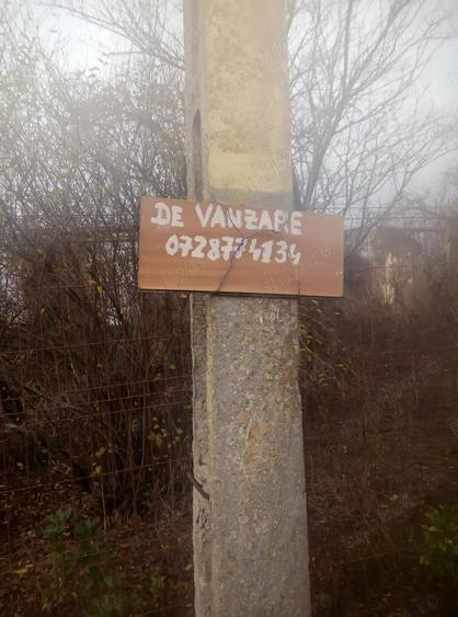 Teren de 2500 mp, în Băduleasa
