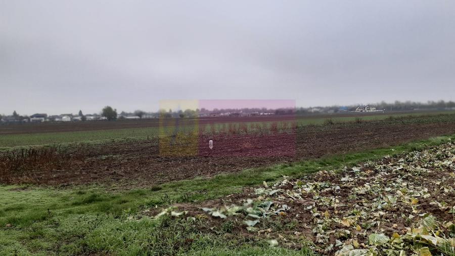 Teren Construcții intravilan de 2250 mp, în 1 Decembrie