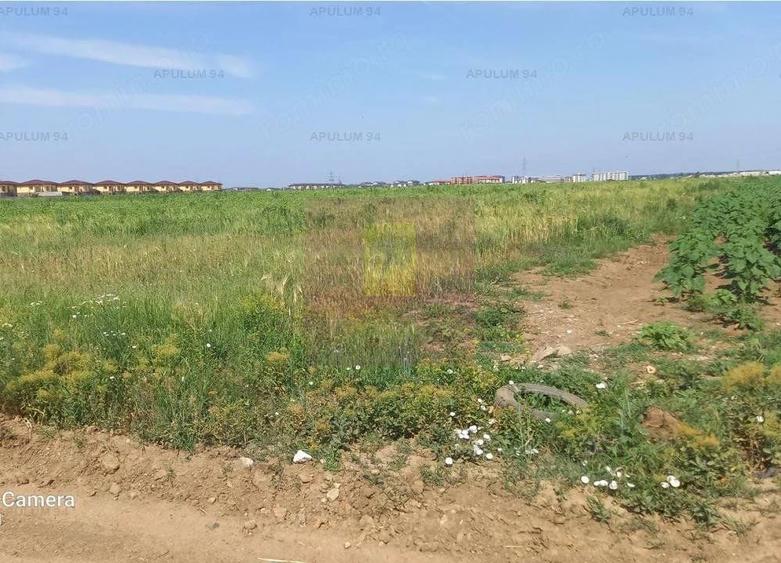 Teren de 9000 mp, în Dobroești