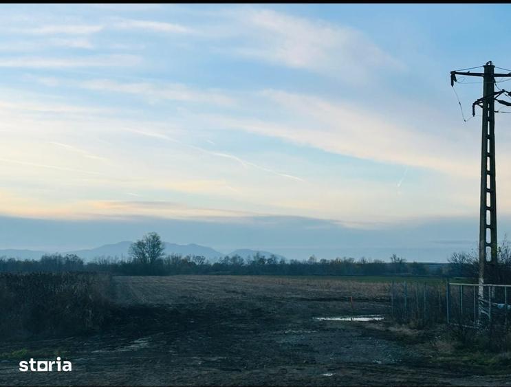 Teren de 8600 mp, în Central