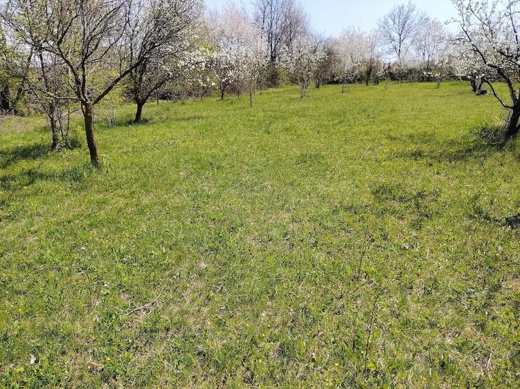 Teren de 1400 mp, în Bănești