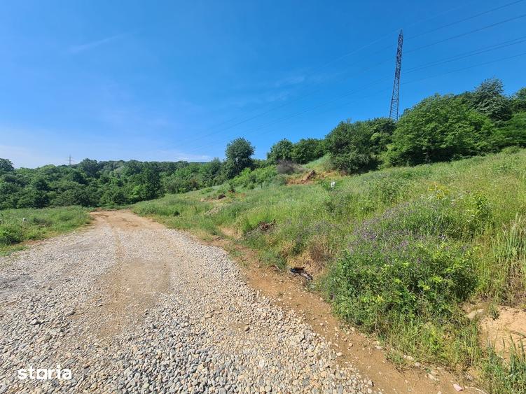 Teren de 620 mp, în Central