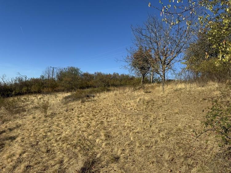 Teren de 3700 mp, în Dumbrăvița de Codru