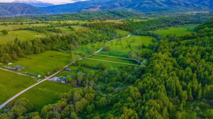 Teren agricol extravilan de 3000 mp, în Șinca Nouă