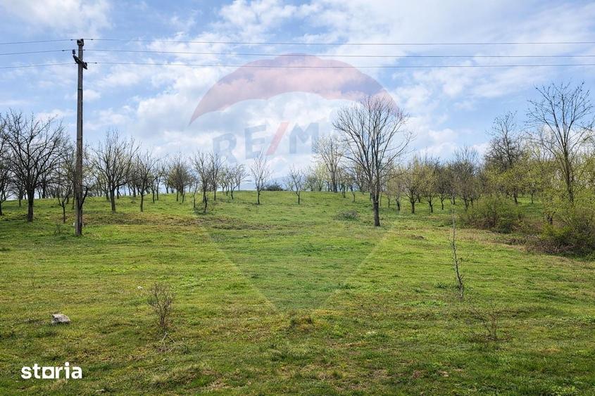 Teren de 2200 mp, în Central