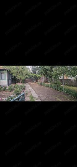 Gospodarie casa si teren - 19