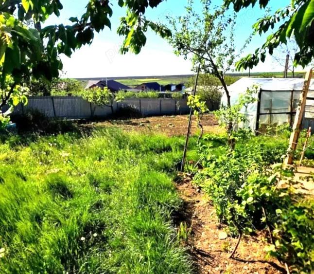 Casă cu 4 camere cu Teren 1036 Mp în Odaia Manolache