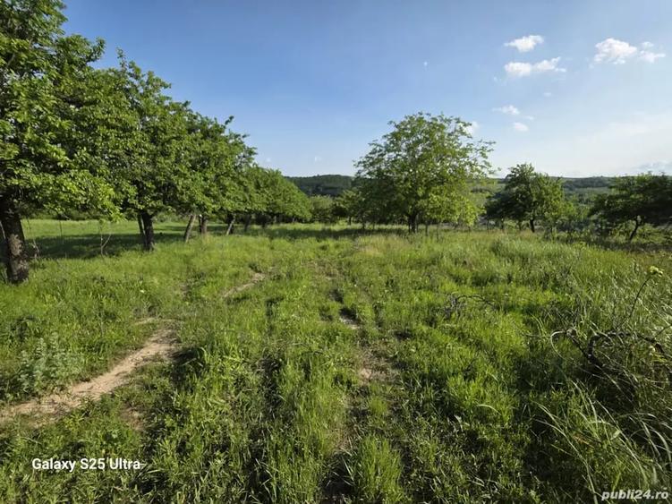 Teren de 3600 mp, în Drăgușani
