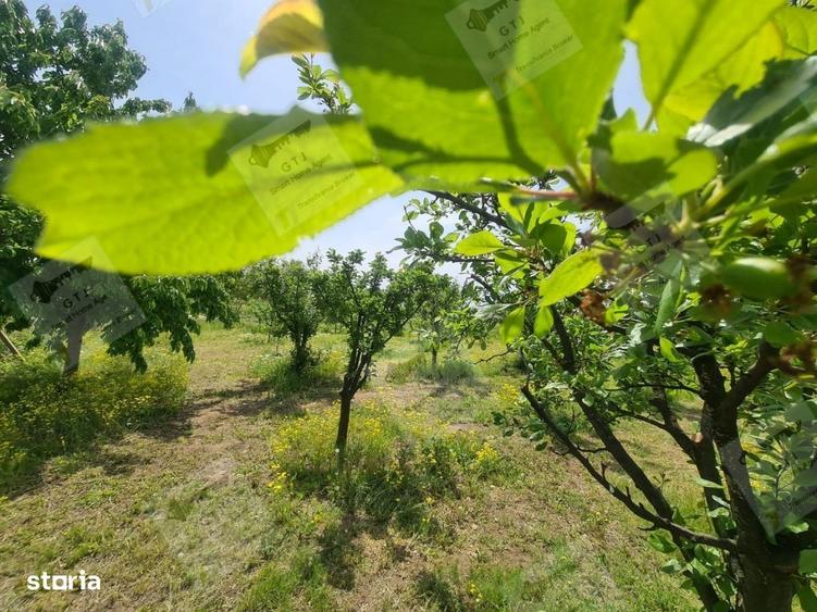 Casă cu 4 camere semidecomandat în Diocheți-Rediu