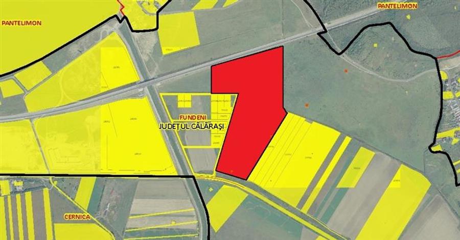 Teren intravilan de 217000 mp, în Cernica