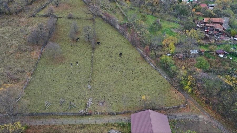 Teren de 1200 mp, în Valea Doftanei
