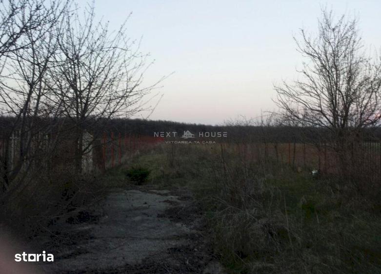 Casă cu 3 camere cu Teren 2350 Mp în Ciolpani