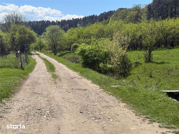 Teren de 2717 mp, în Sânpetru