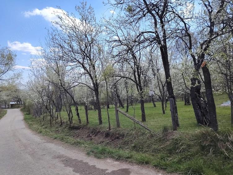 Teren de 1935 mp, în Șotrile