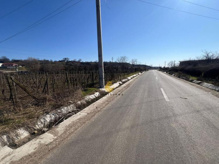 Teren Construcții intravilan de 2700 mp, în Movilița