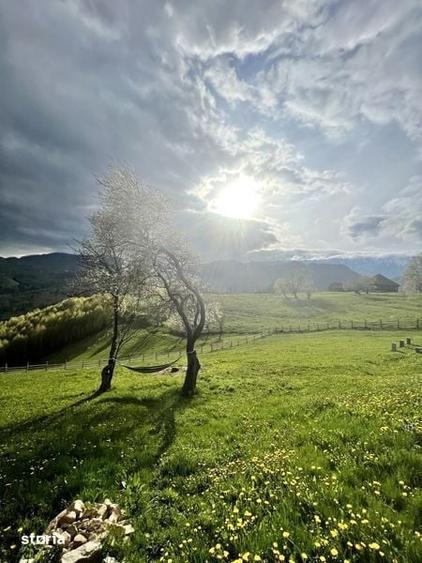 Teren de 110000 mp, în Peștera