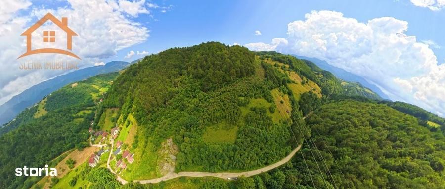 Investitie Smart in Moieciu, 3.1 ha, Panorama 360 Bucegi - Piatra Crai - 12