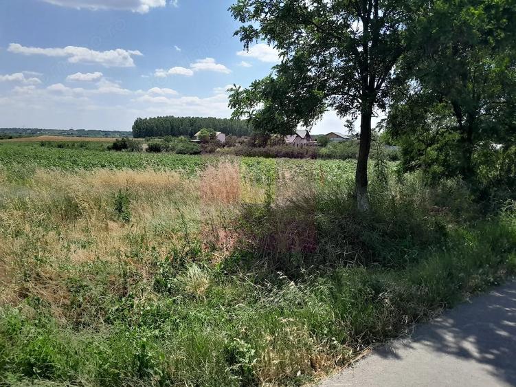 Teren de 16500 mp, în Teișori
