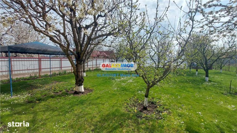Casă cu 3 camere cu Teren 800 Mp în Mihai Eminescu