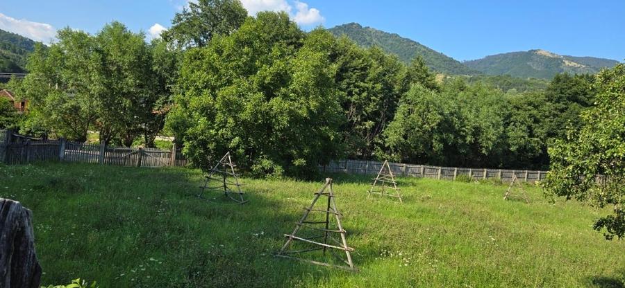 Teren intravilan de 8000 mp, în Arefu