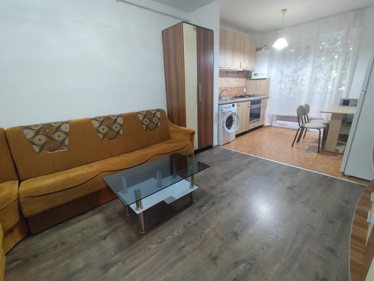 Apartament cu 2 camere semidecomandat în Turnișor