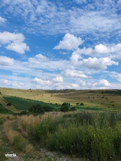 Teren intravilan ideal pentru casa, 4300mp, Deusu -Chinteni - 3