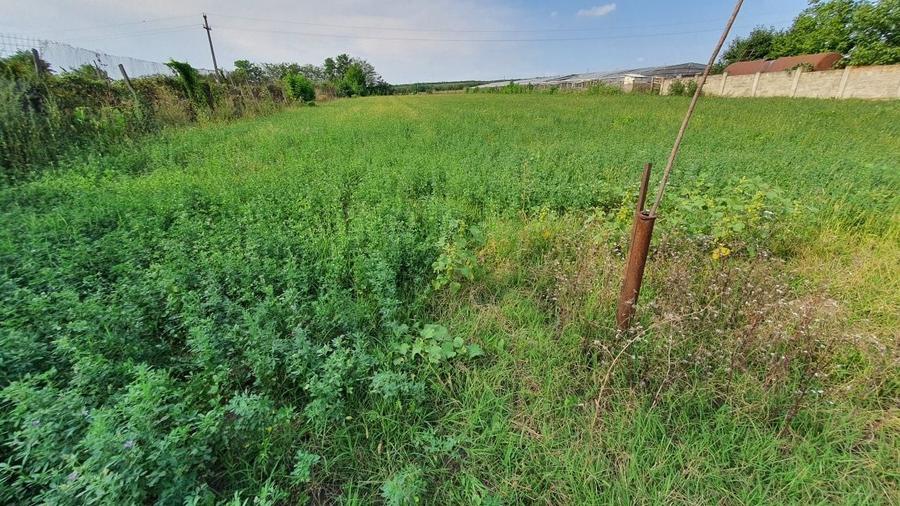 Teren de 1000 mp, în Războieni