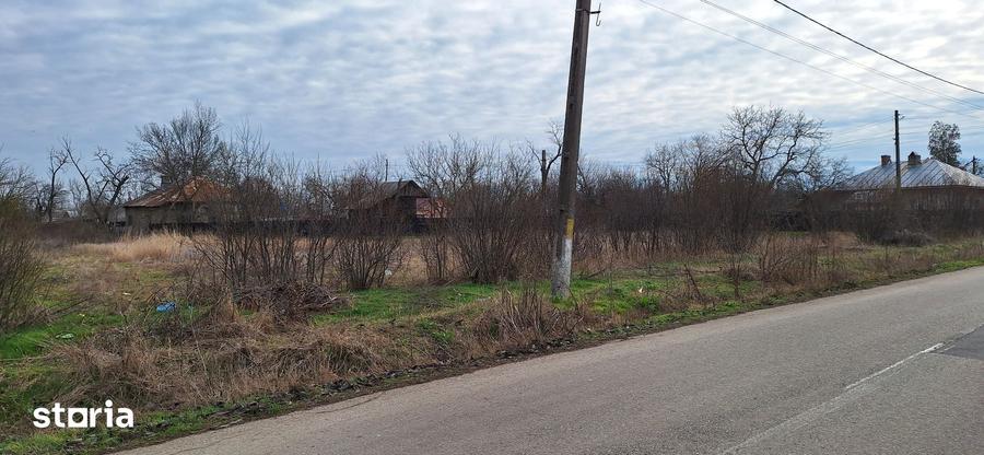 Teren de 2433 mp, în Blejești