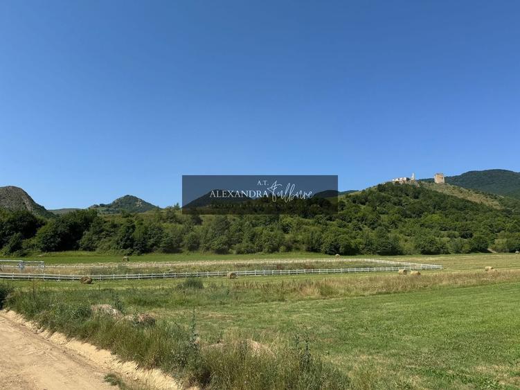 Teren agricol extravilan de 9000 mp, în Rimetea