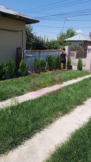 Casă cu 5 camere în Berceni